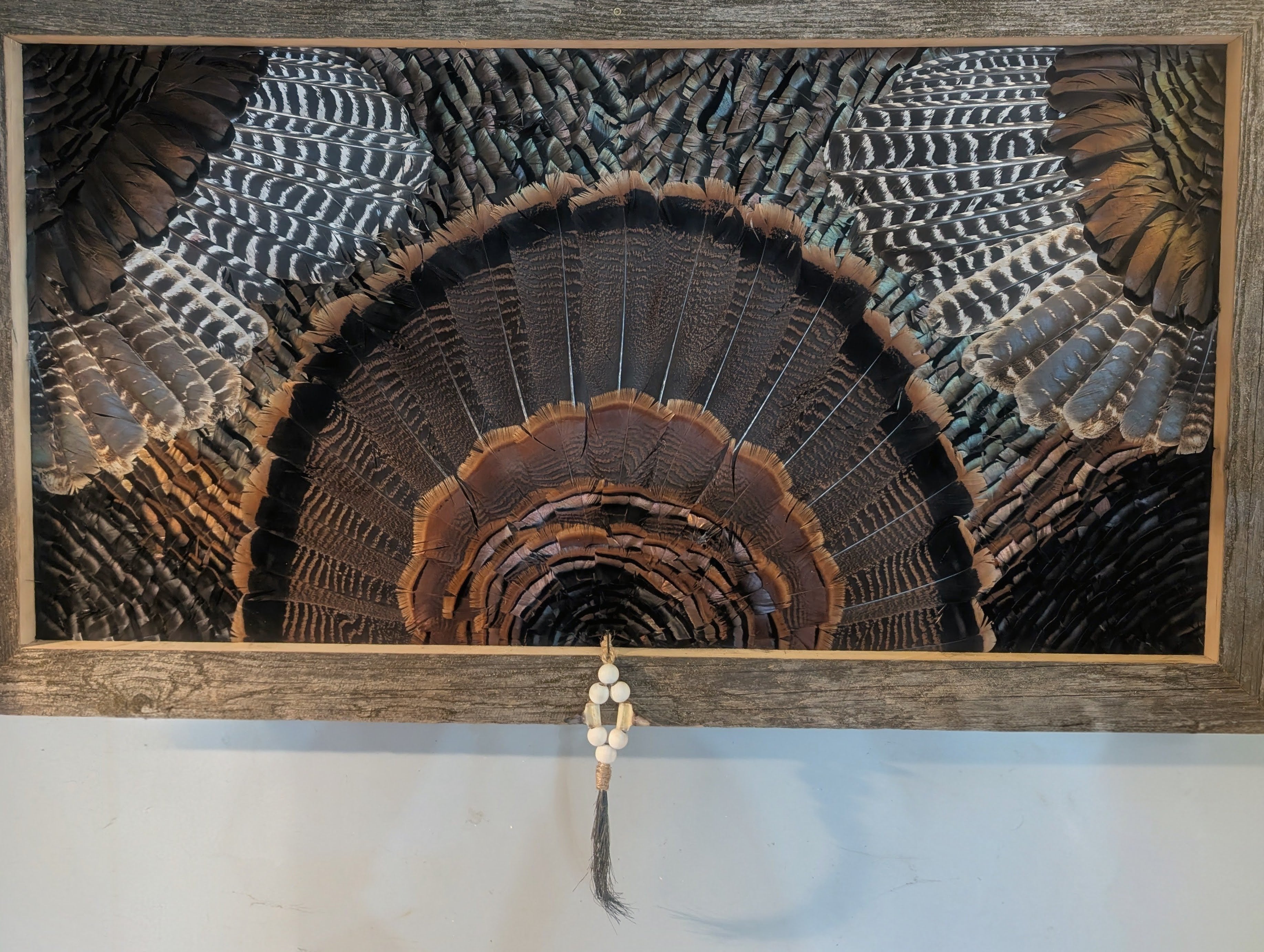Custom Double Wing Turkey Feather Mount Art