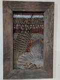 Custom Pheasant Feather Mount Art