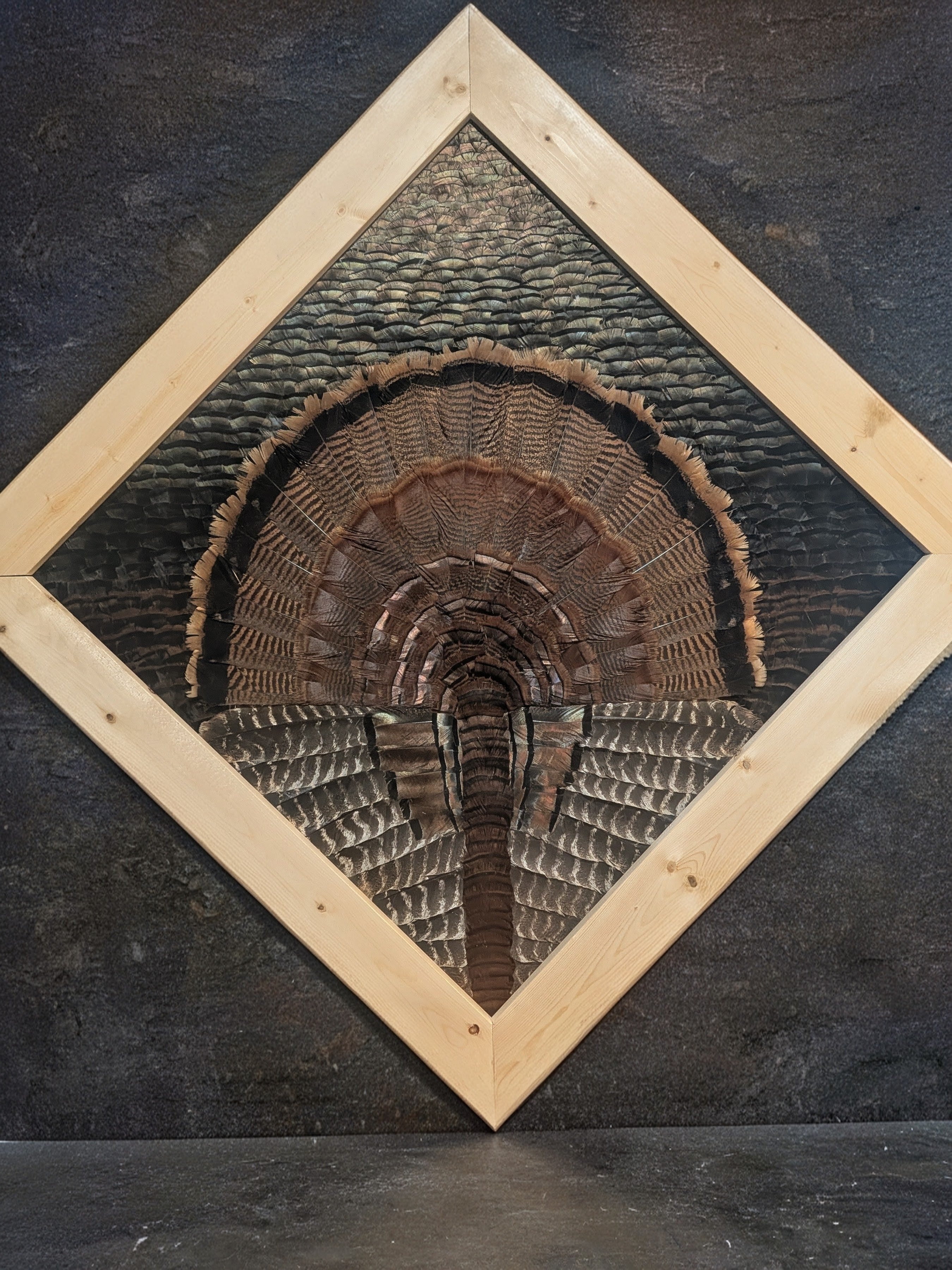 Custom Turkey Tail Feather Mount Art